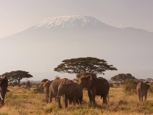 Monte Kilimanjaro, Quênia